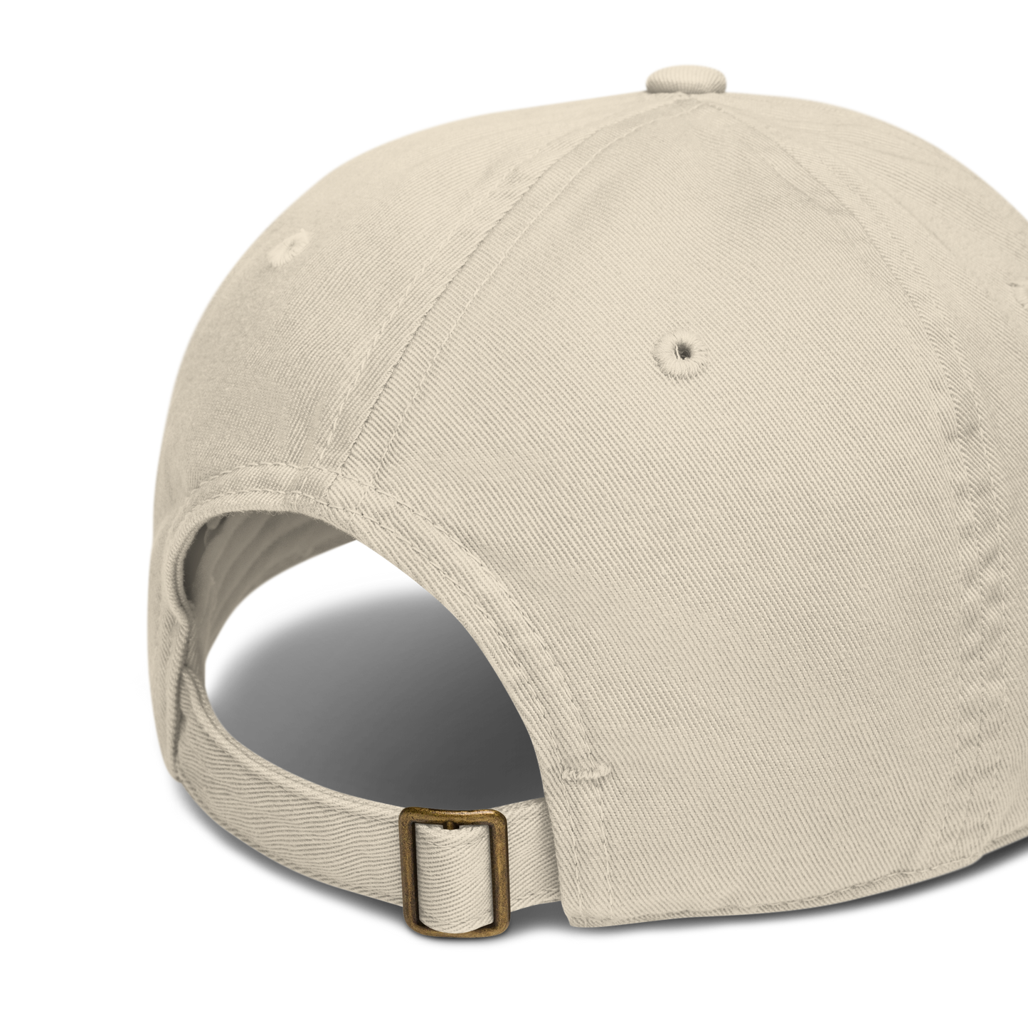 Ting's organic dad hat back side